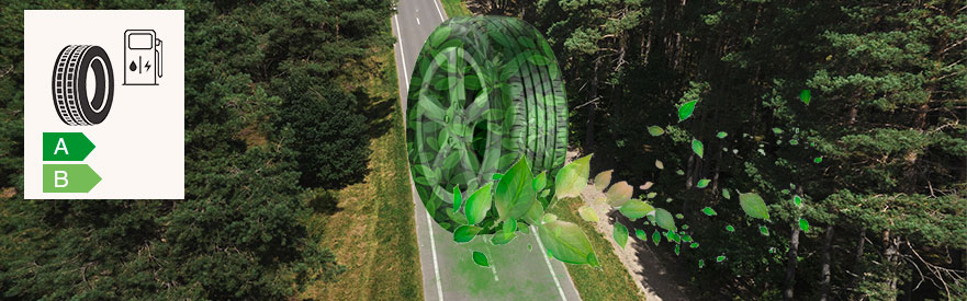 Екошини – чи реальна економія палива?