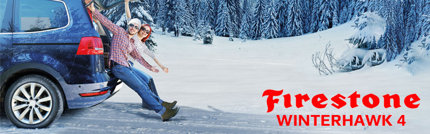 Купить Зимние шины Firestone Winterhawk 4 для суровых условий