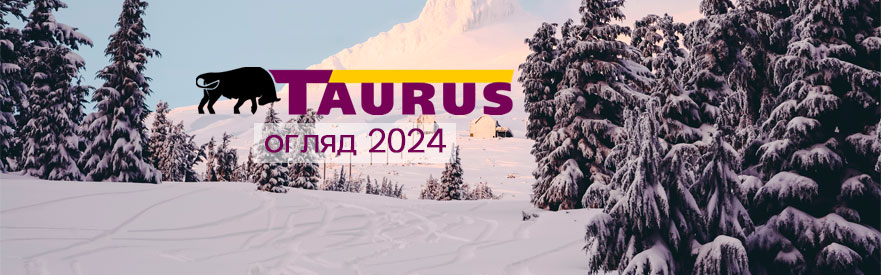 Сравнение зимних шин Taurus: Какая модель вам подойдет?