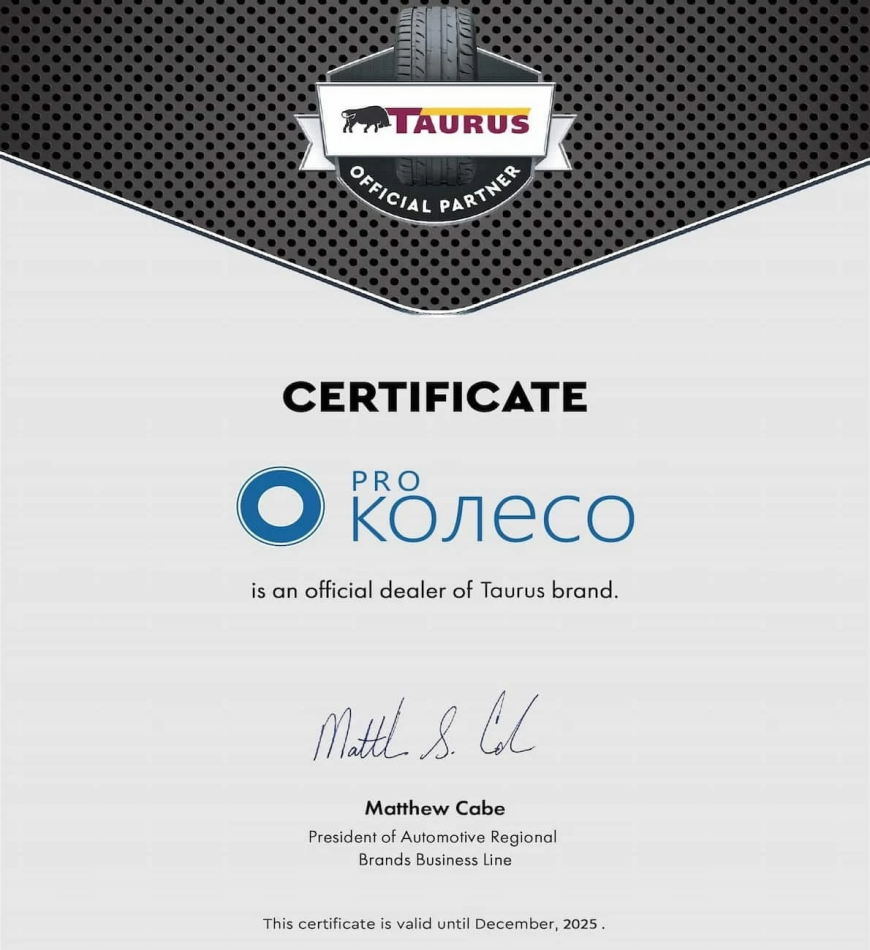 Taurus Winter 215/50 R17 95V - certificate 2