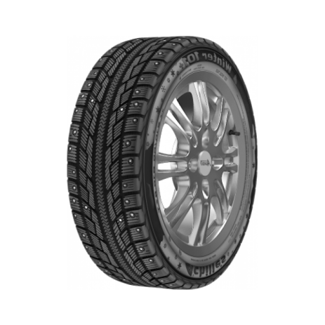 Winter 101+ - фото 1