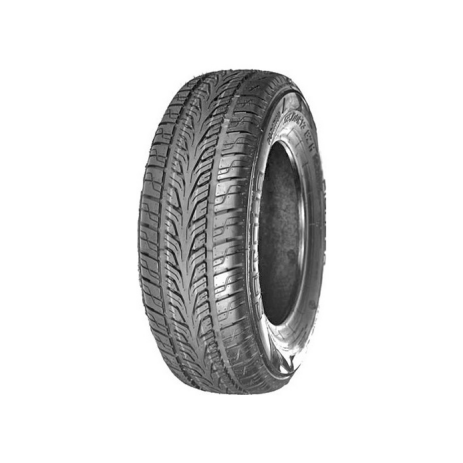 Pioneer - фото 1