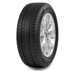 Davanti Wintoura suv 265/65 R17 116H