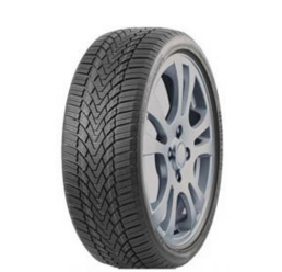 Roadmarch WINTERXPRO 888 175/60 R15 81H