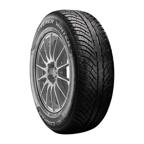 Discoverer Winter - фото 1