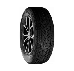 Tercelo Blue Snow 205/55 R16 91V