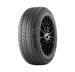 Doublestar DW09 275/40 R20 106V