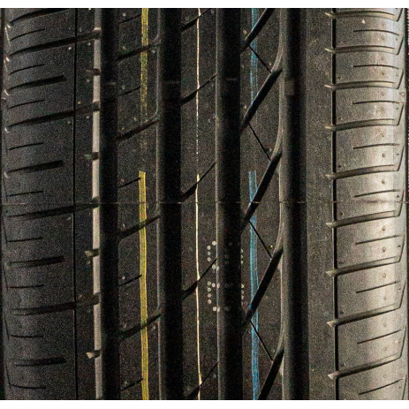 Competus H/P - фото 2