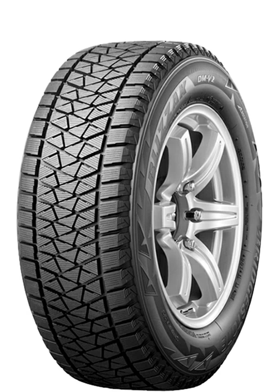 Bridgestone Blizzak DM-V2