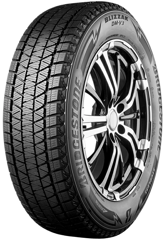 Bridgestone Blizzak DM-V3