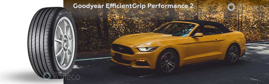 Goodyear EfficientGrip Performance 2