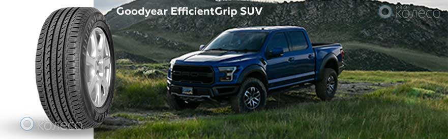Goodyear EfficientGrip SUV
