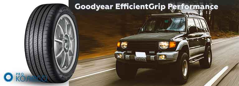 Goodyear EfficientGrip Performance 2 naylegshi shyny u sviti