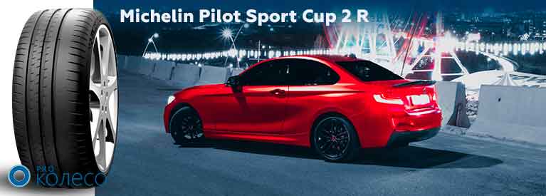 Michelin Pilot Sport Cup 2 R naylegshi shyny u sviti