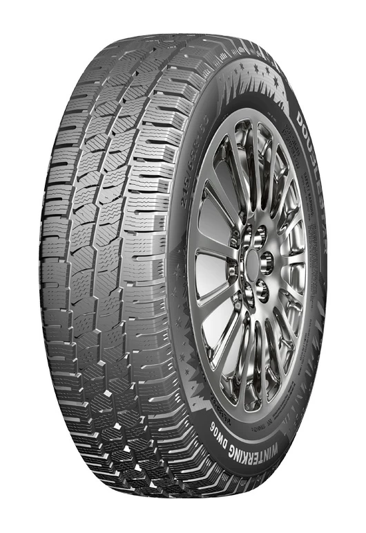 Doublestar Winterking DW06