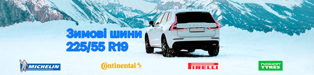 Зимові 225 55 r19