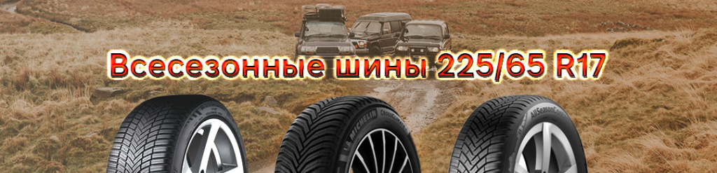 Всесезонные шины 225 65 r17 проколесо
