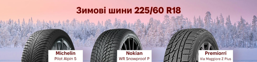 Зимова гума 225 60 R18 в Проколесо