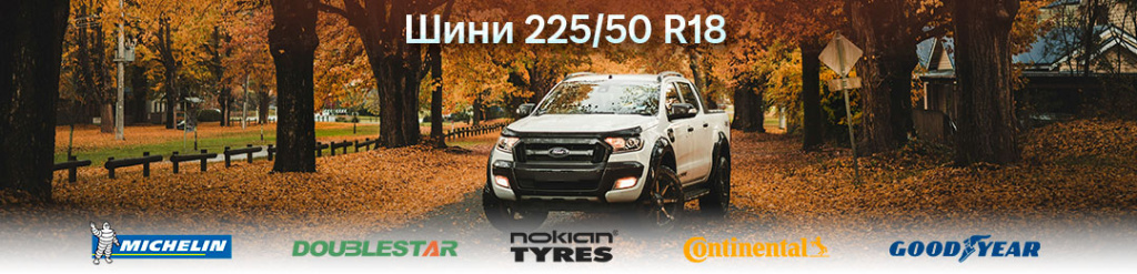 Шини 225 50 R18 проколесо