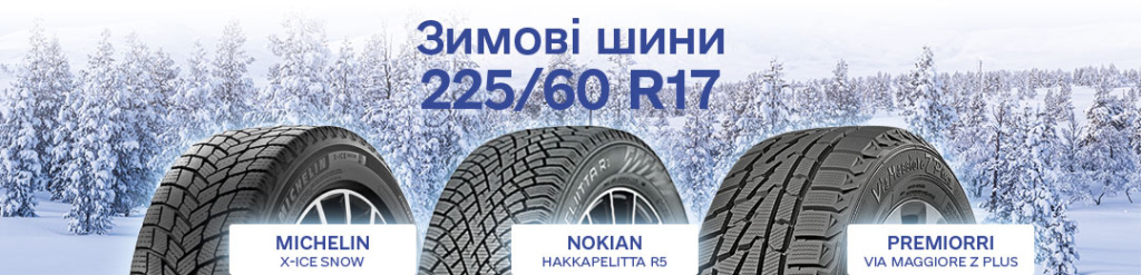 Зимова гума 225 60 R17 Зимова гума 225 60 R17 в Проколесо