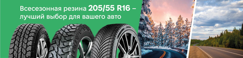 Всесезонка 205/55 R16 в Проколесо