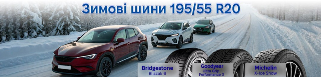 Зимові шини 195 55 r20 проколесо