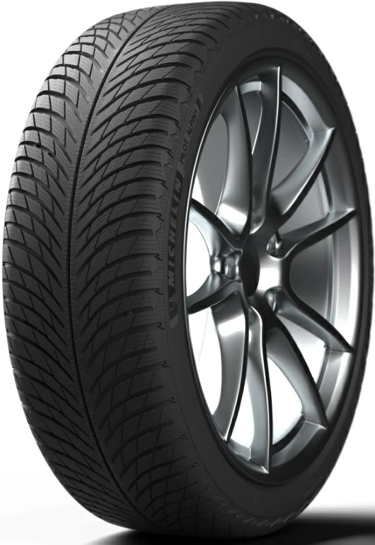 Michelin Pilot Alpin 5