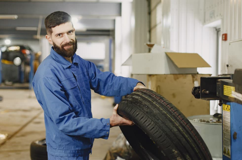 regeneratsiya-shyn_2